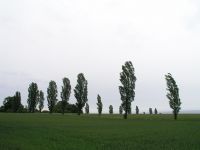 P6130842